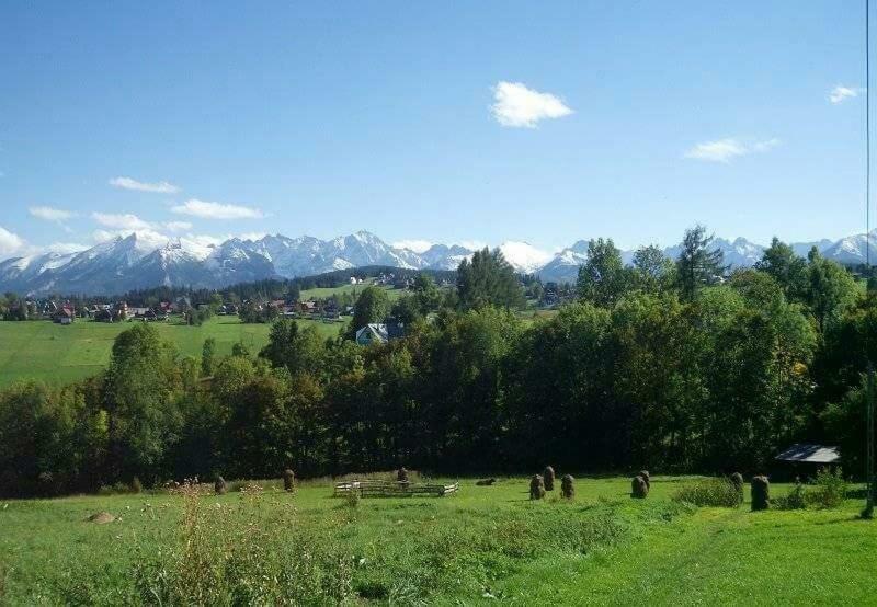 Agrotatry U Stachy Bukowina Tatrzańska Exterior foto