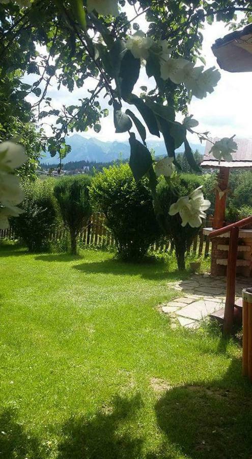 Agrotatry U Stachy Bukowina Tatrzańska Exterior foto