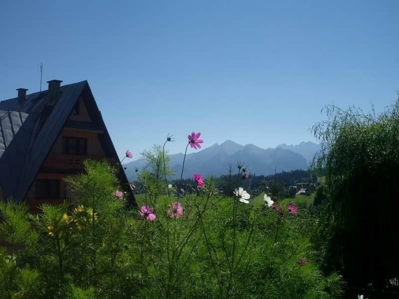 Agrotatry U Stachy Bukowina Tatrzańska Exterior foto