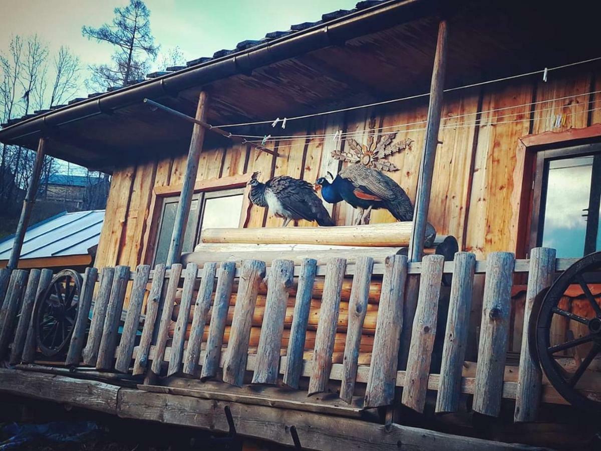 Agrotatry U Stachy Bukowina Tatrzańska Exterior foto